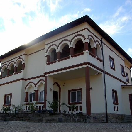 Vila Phoenix Calimanesti Exterior photo