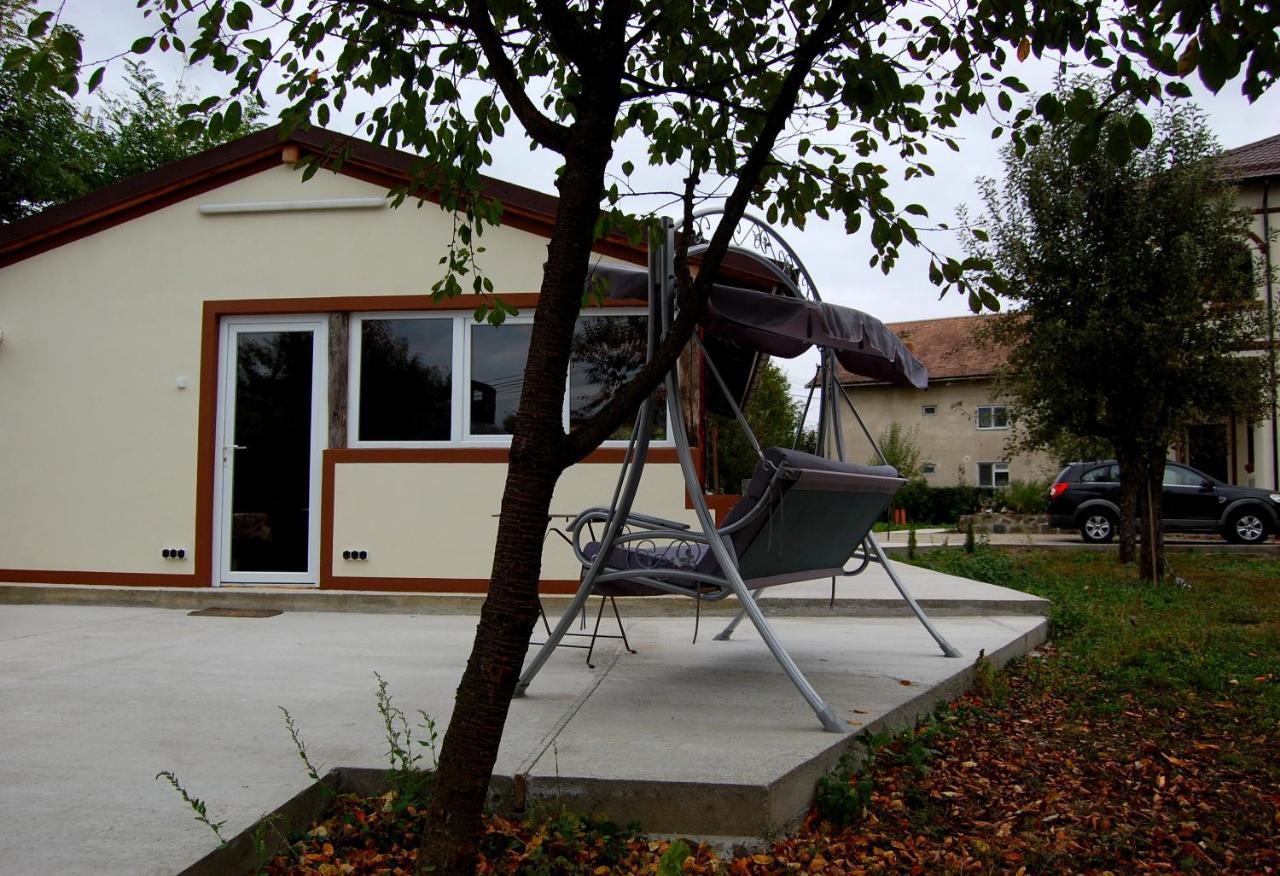 Vila Phoenix Calimanesti Exterior photo