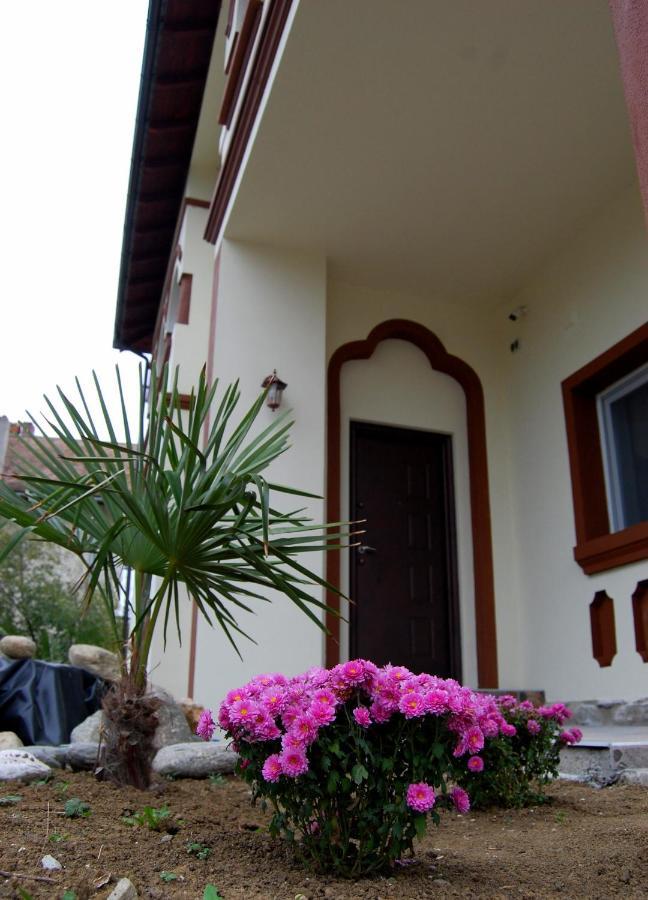 Vila Phoenix Calimanesti Exterior photo