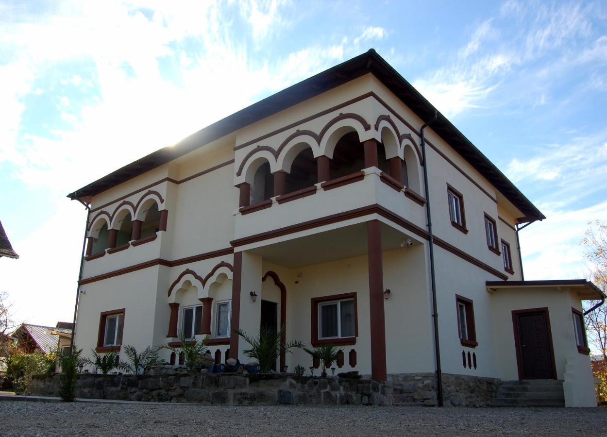 Vila Phoenix Calimanesti Exterior photo